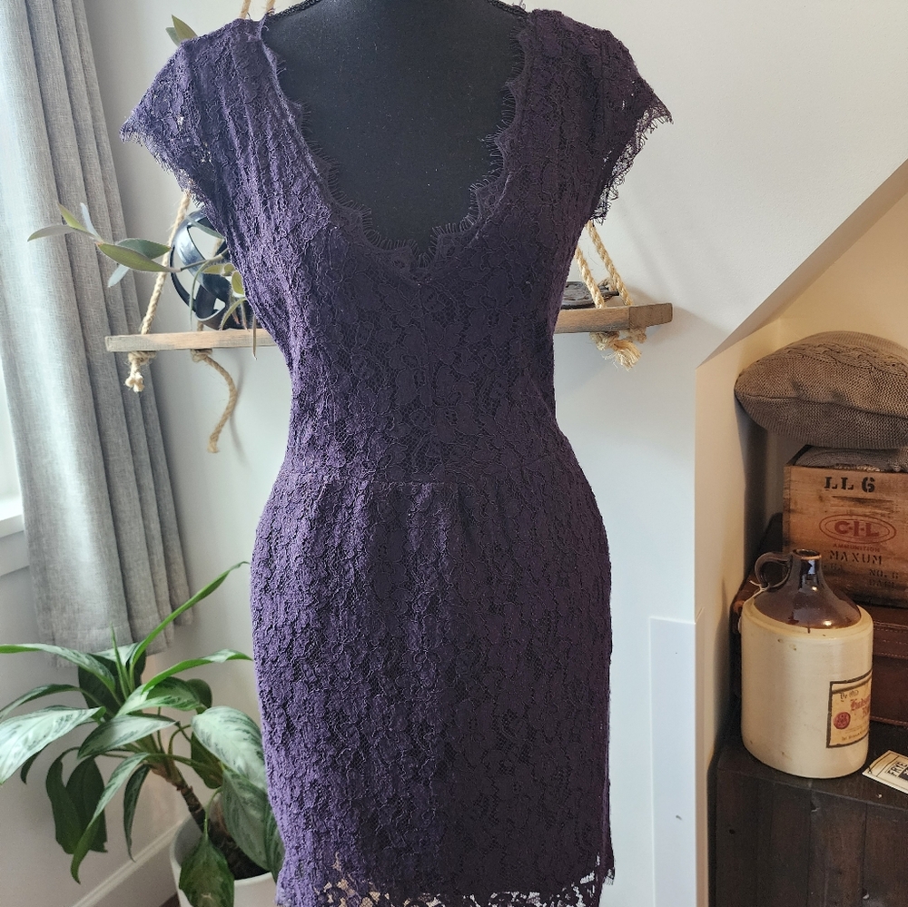 Aritzia Babaton "Tobias" lace dress